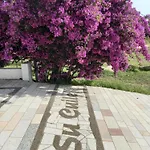 Agriturismo&cameresucuile Countrysidecomfortrooms בית חווה בודוני