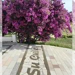 בית חווה Agriturismo&cameresucuile Countrysidecomfortrooms בודוני