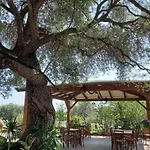 בית חווה Agriturismo&cameresucuile Countrysidecomfortrooms