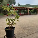 Agriturismo&cameresucuile Countrysidecomfortrooms בית חווה בודוני