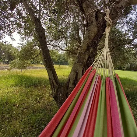 Agriturismo&cameresucuile Countrysidecomfortrooms *