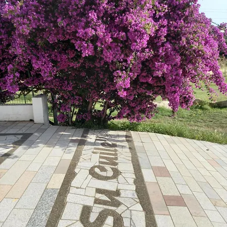 Agriturismo&cameresucuile Countrysidecomfortrooms Farm stay Budoni