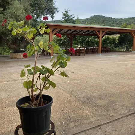 Agriturismo&cameresucuile Countrysidecomfortrooms Alojamento de Turismo Rural Budoni