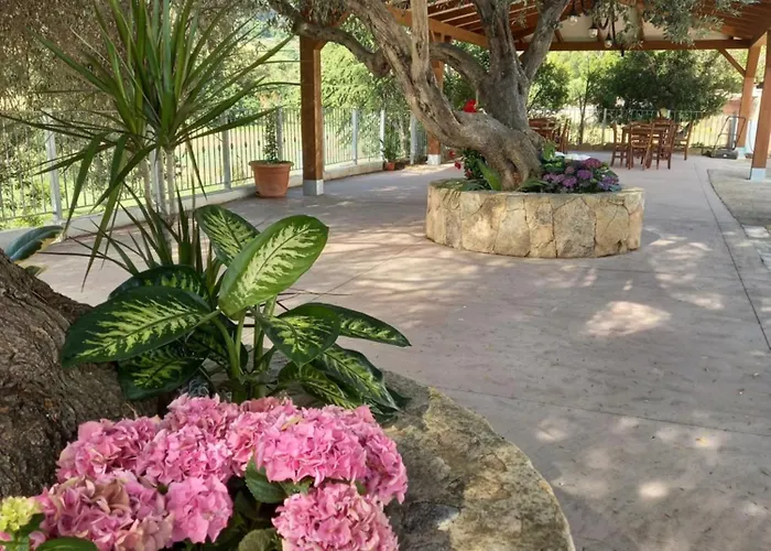 Agriturismo&cameresucuile Countrysidecomfortrooms Çiftlik konaklama