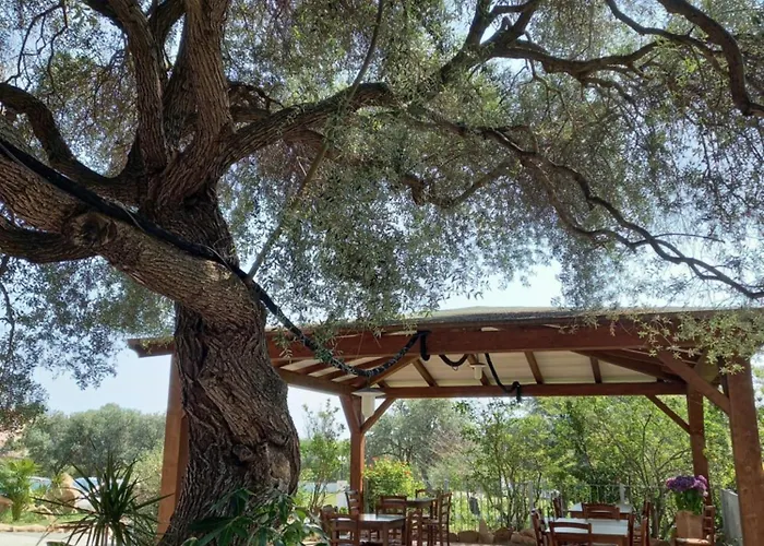 Çiftlik konaklama Agriturismo&cameresucuile Countrysidecomfortrooms *