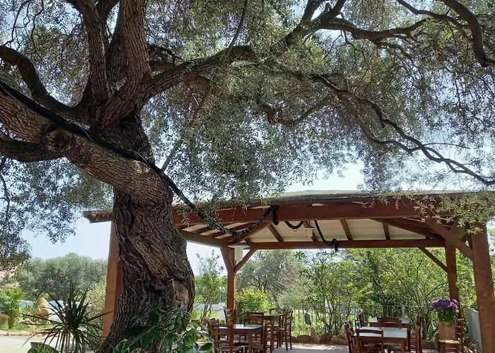 Çiftlik konaklama Agriturismo&cameresucuile Countrysidecomfortrooms