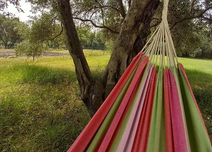 Agriturismo&cameresucuile Countrysidecomfortrooms