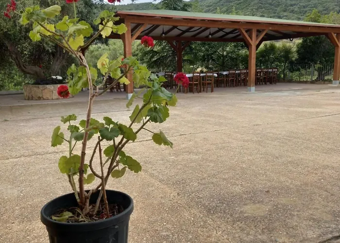 Agriturismo&cameresucuile Countrysidecomfortrooms Çiftlik konaklama Budoni