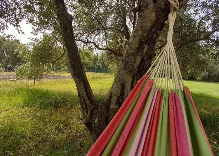 Agriturismo&cameresucuile Countrysidecomfortrooms *